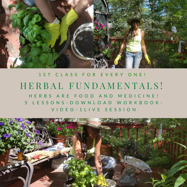 Herbal Fundamentals Course!