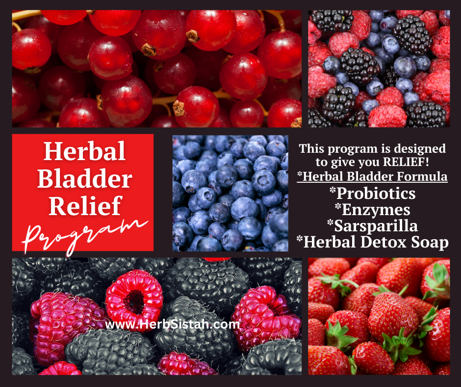 herbal-bladder-relief-program-herbsistah