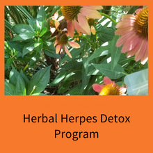 Load image into Gallery viewer, Herbal Herpes Detox Program