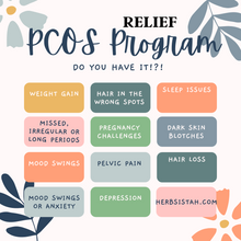 Load image into Gallery viewer, PCOS Relief Program