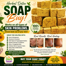 Load image into Gallery viewer, HERBAL DETOX SOAP