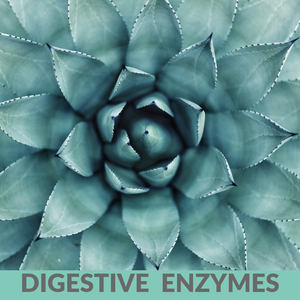 Digestive Enzymes