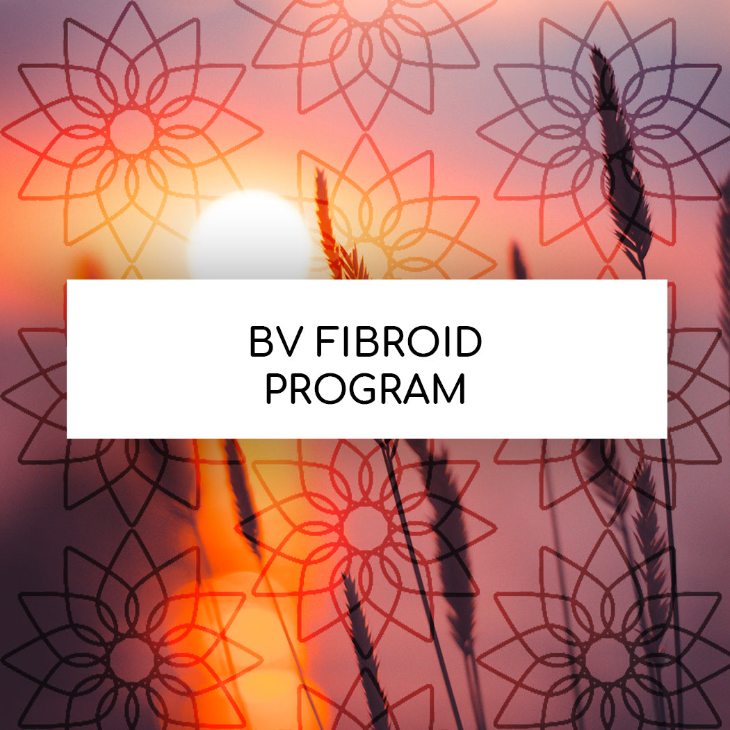 BV  FIBROID PROGRAM