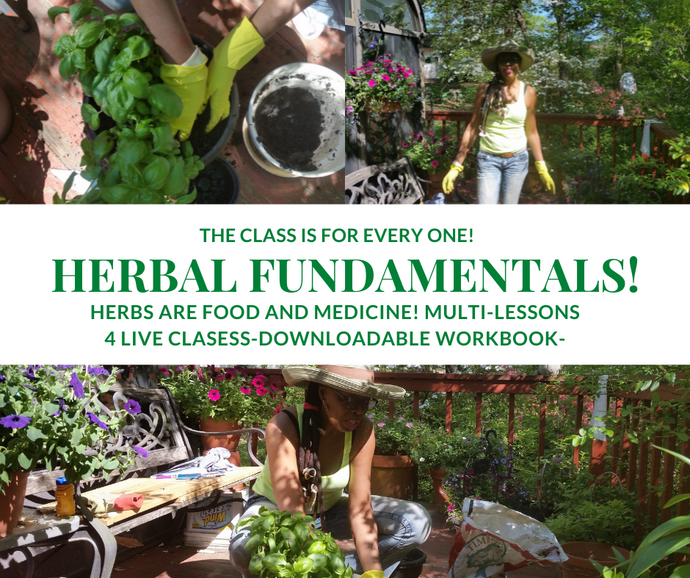 Herbal Fundalmentals Certificate Program