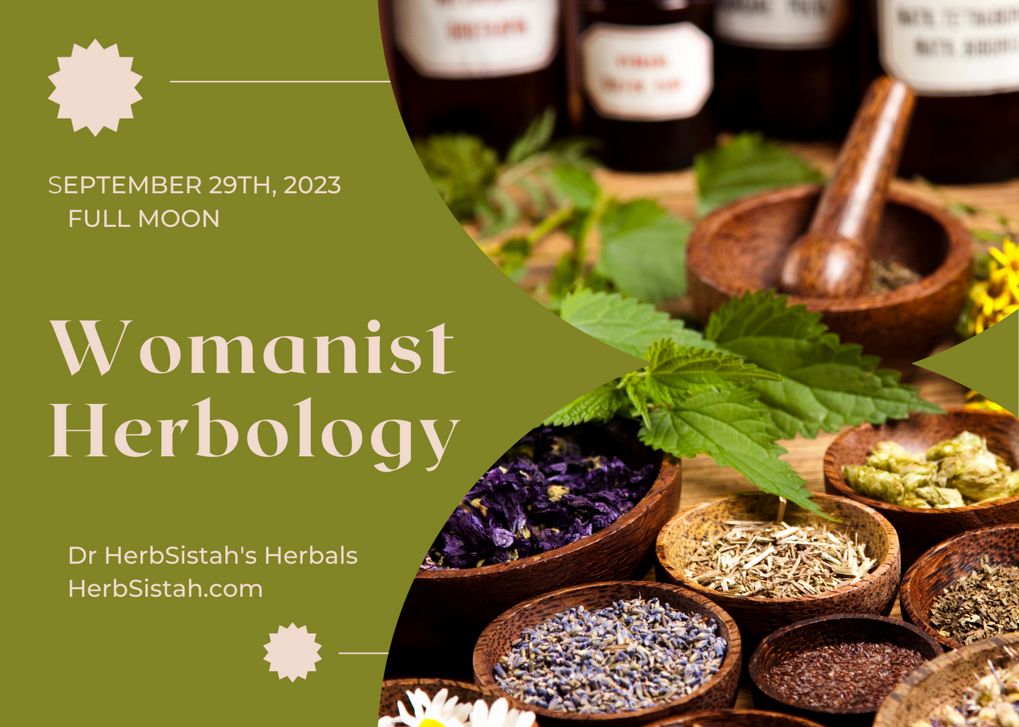 Womanist Herbology - Starts Full Moon, September 2023
